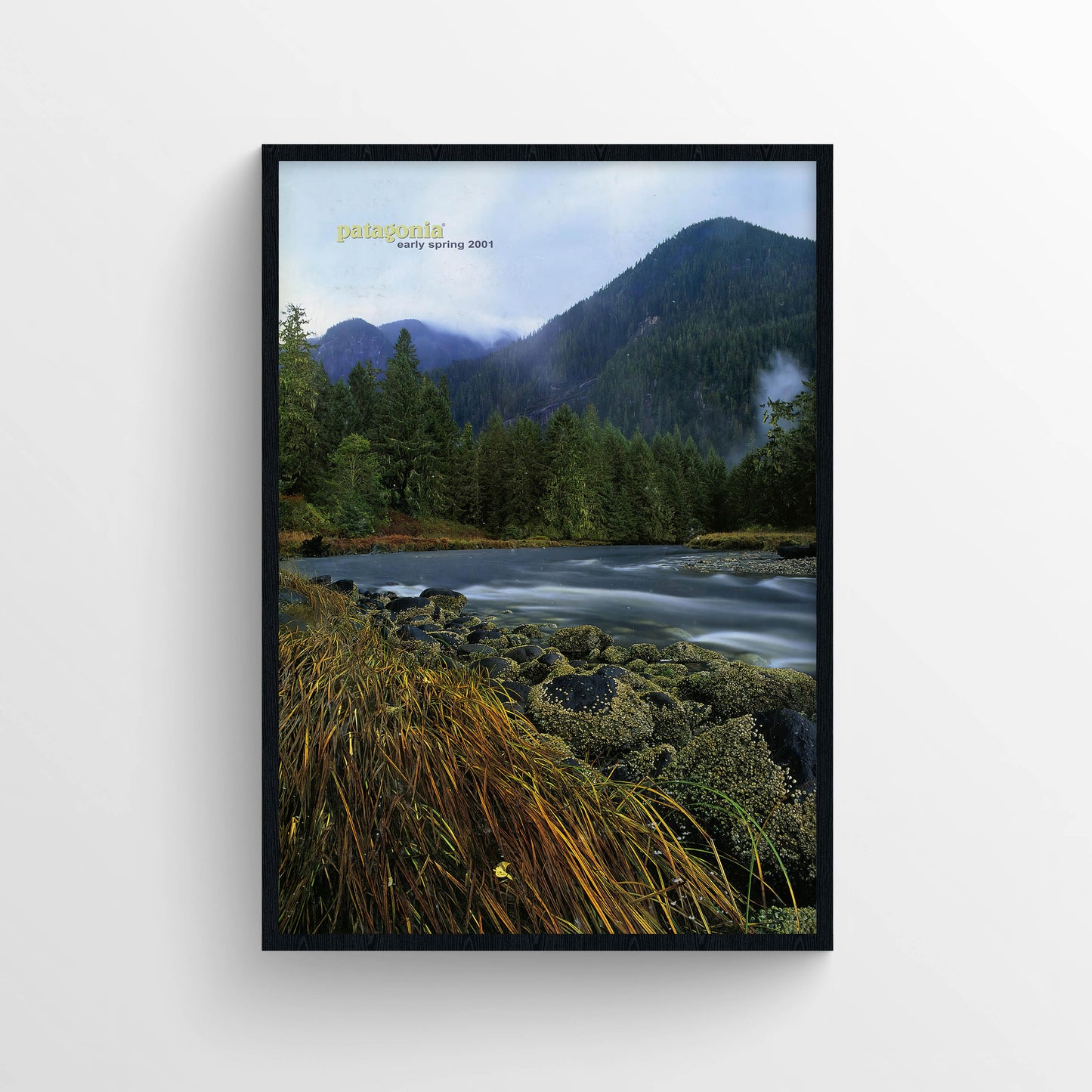 Patagonia 2001 Early Spring Magazine Poster