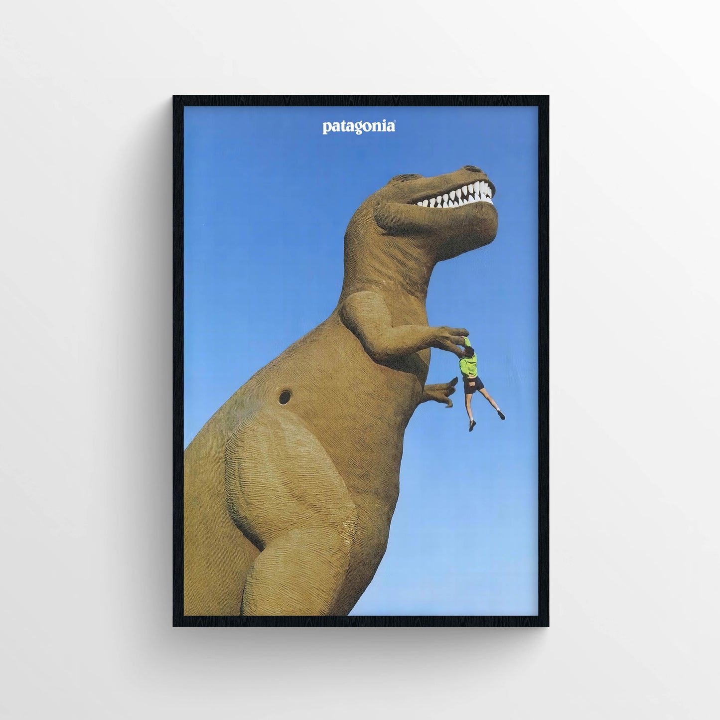 Patagonia Magazine Poster