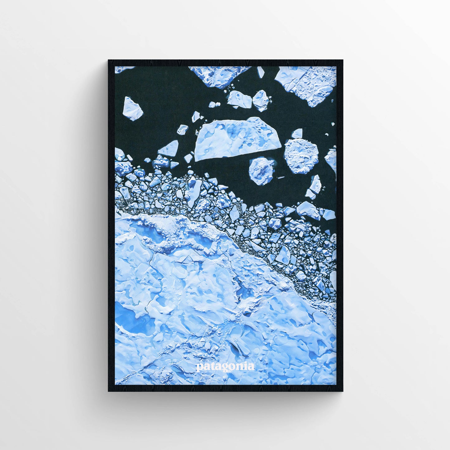 Patagonia 2019 Magazine Poster
