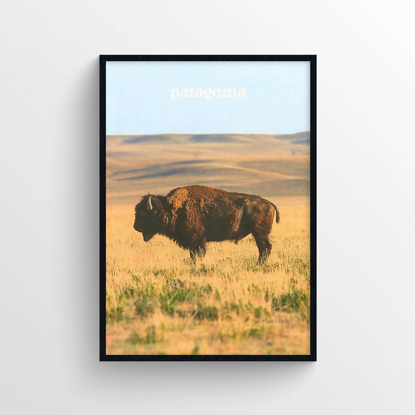 Patagonia 2015 Magazine Poster