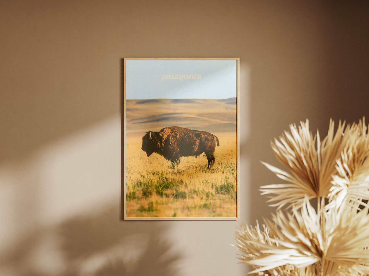 Patagonia 2015 Magazine Poster