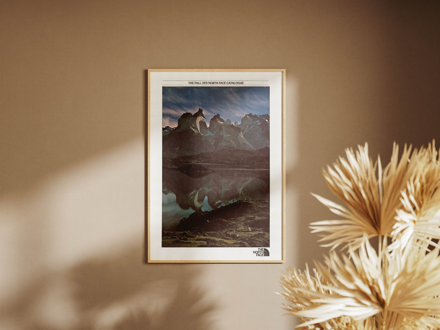 The North Face Poster