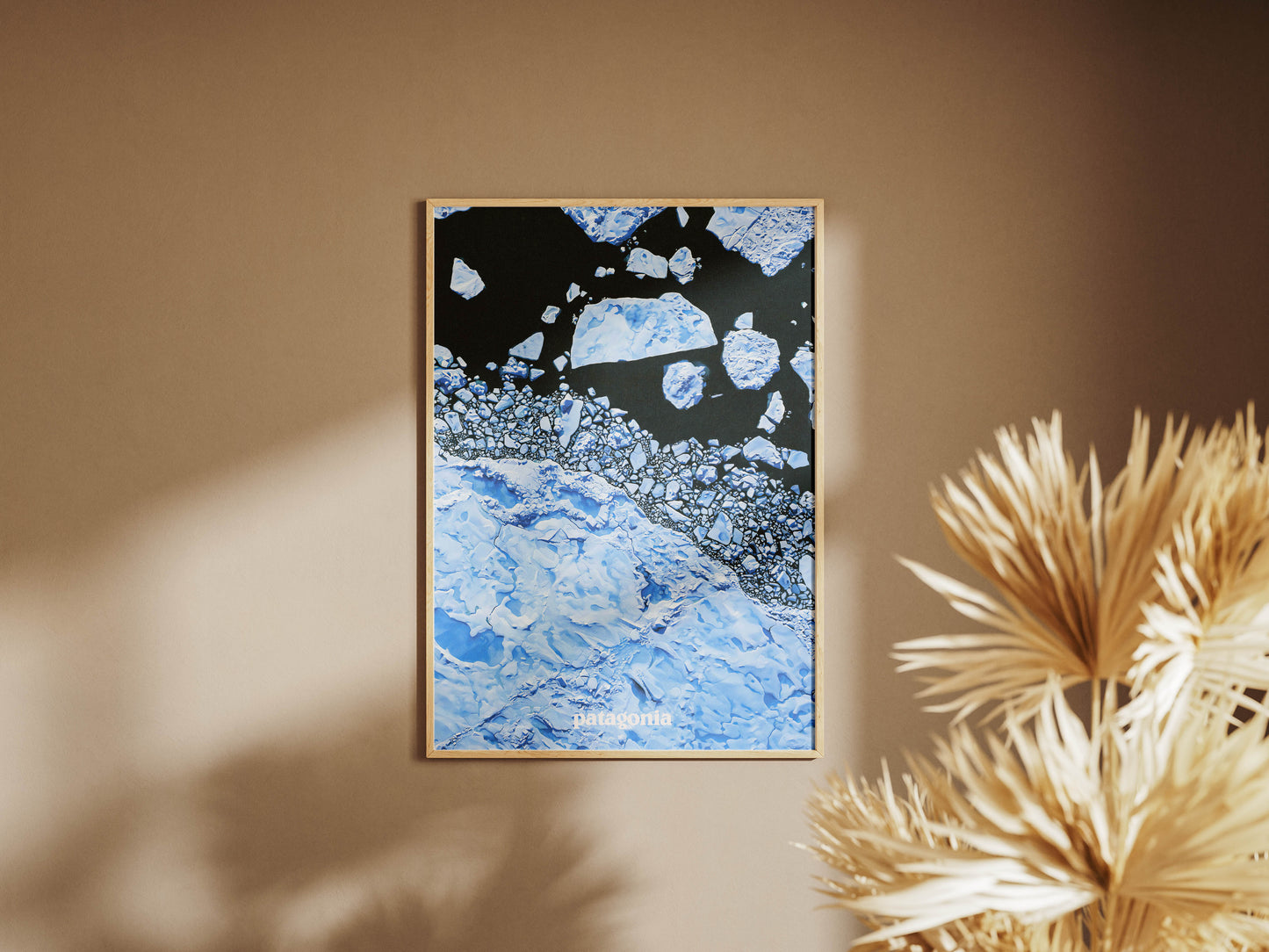 Patagonia 2019 Magazine Poster