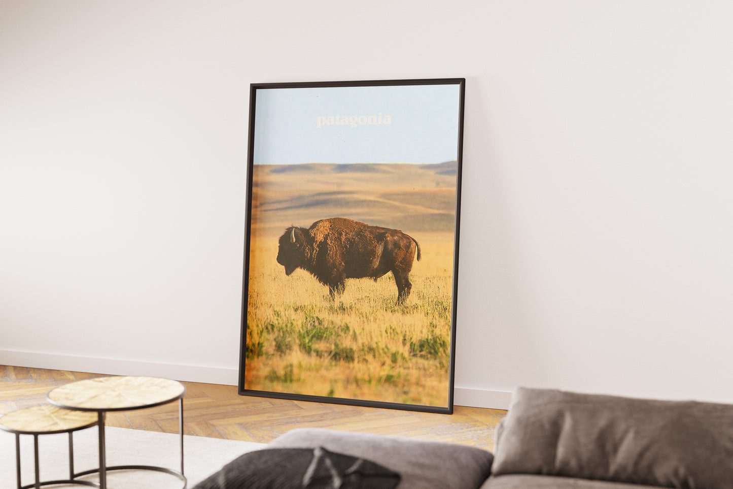 Patagonia 2015 Magazine Poster