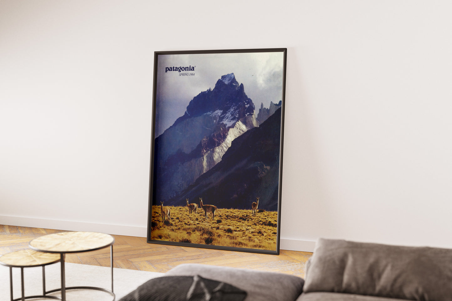 Patagonia 1984 Spring Magazine Poster