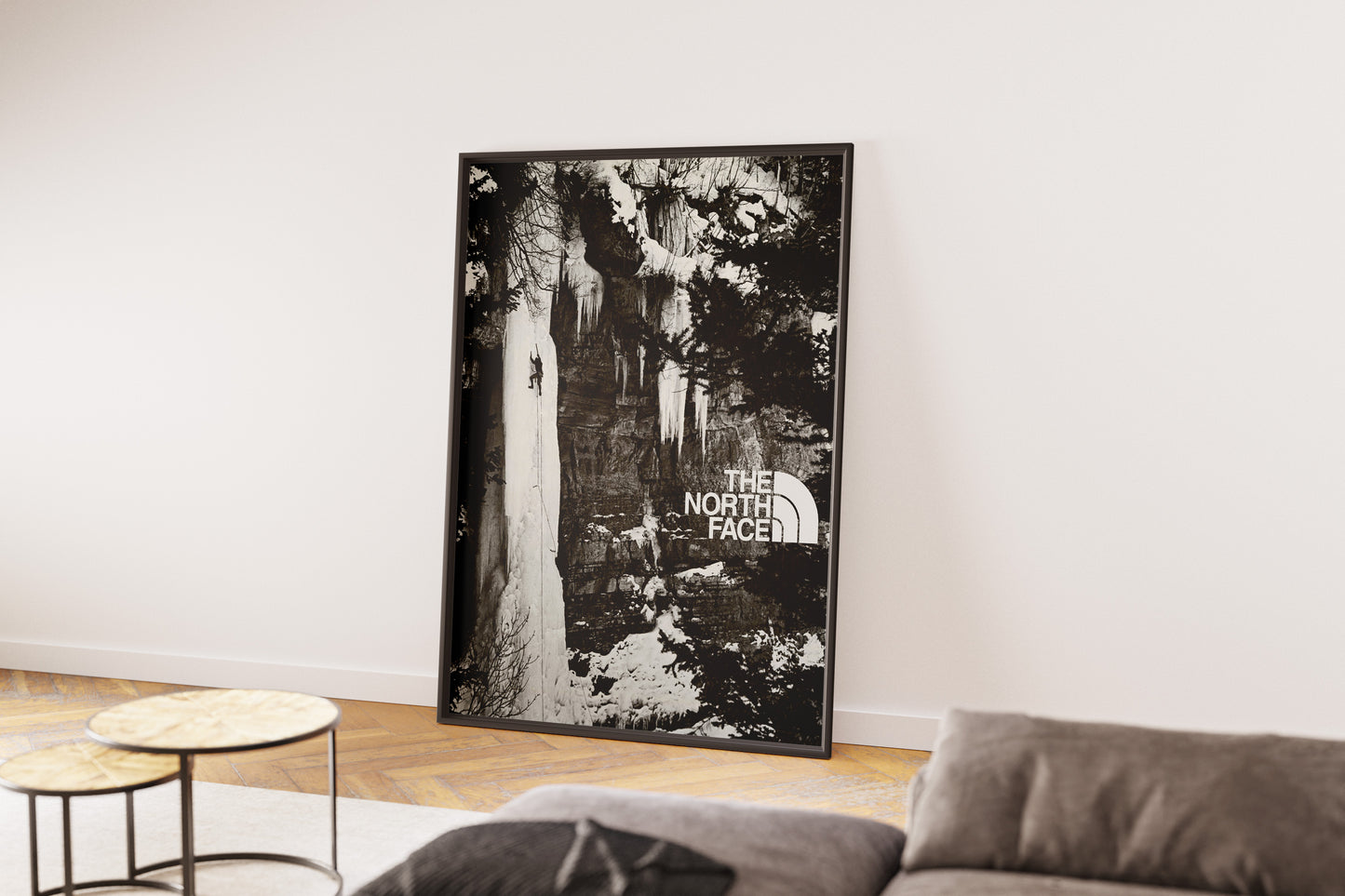 The North Face Poster