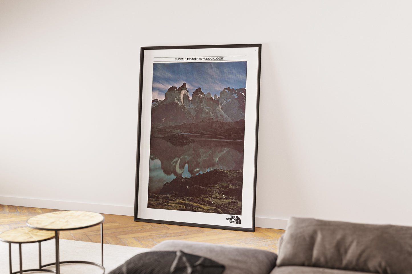 The North Face Poster