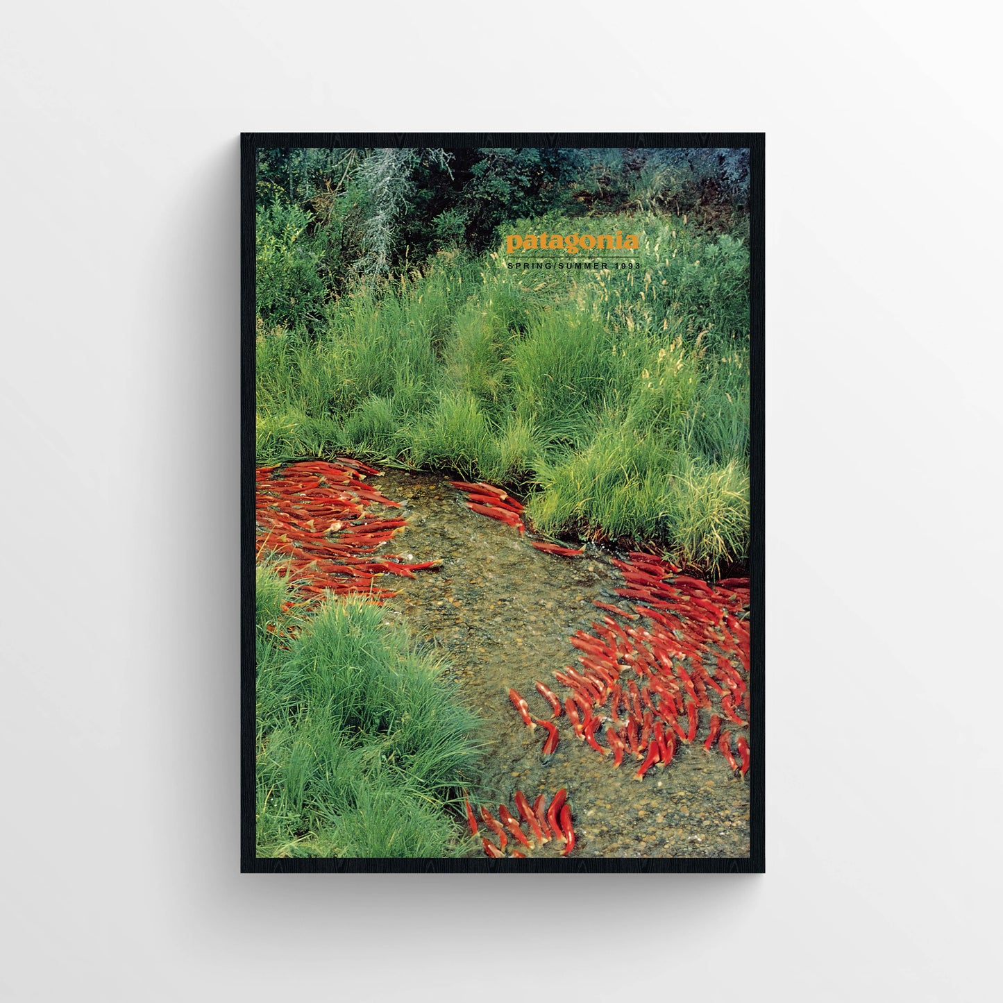 Patagonia 1993 Spring / Summer Magazine Poster