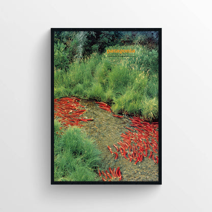 Patagonia 1993 Spring / Summer Magazine Poster