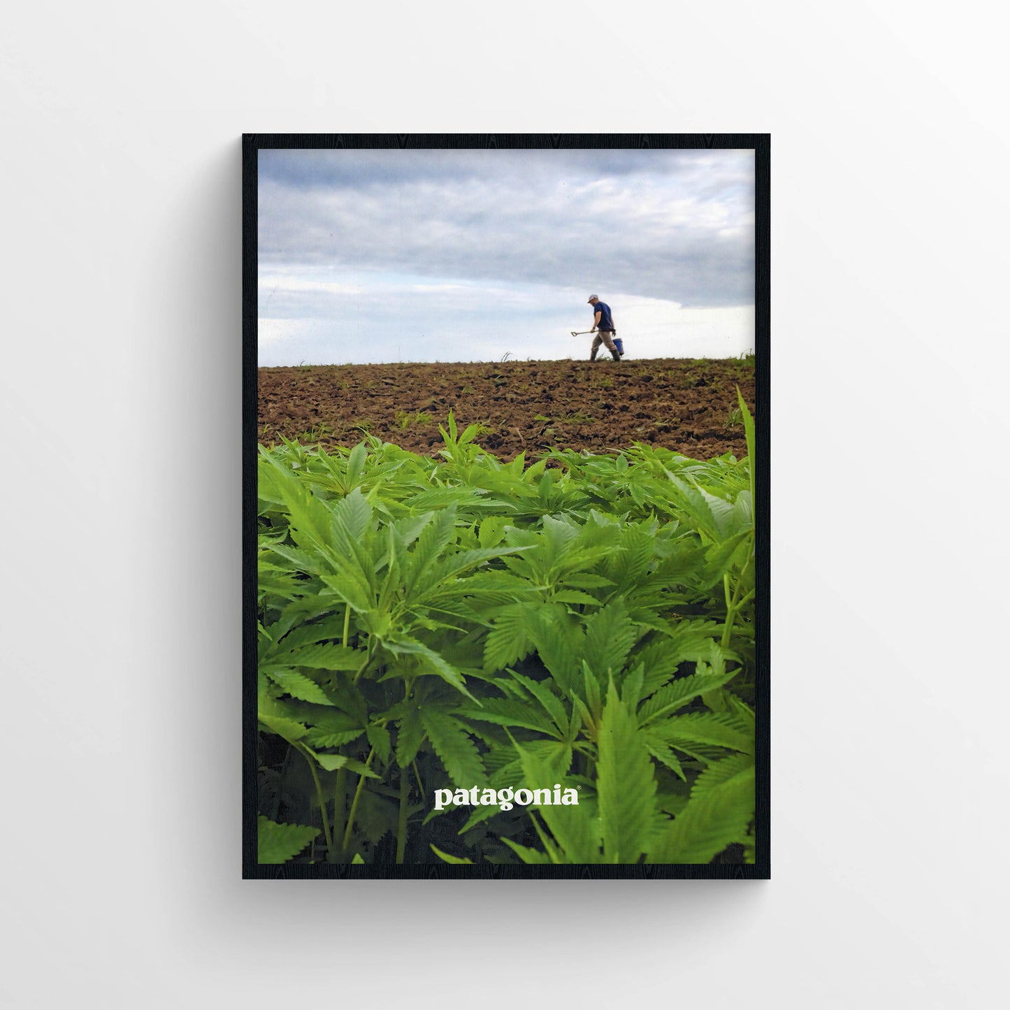 Patagonia 2019 Magazine Poster