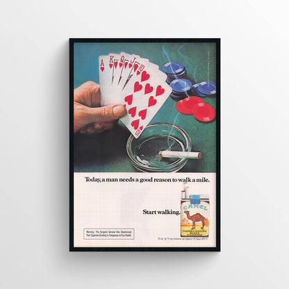 Camel Poster