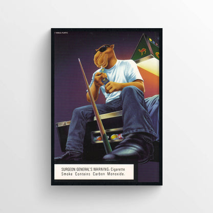 Camel Poster