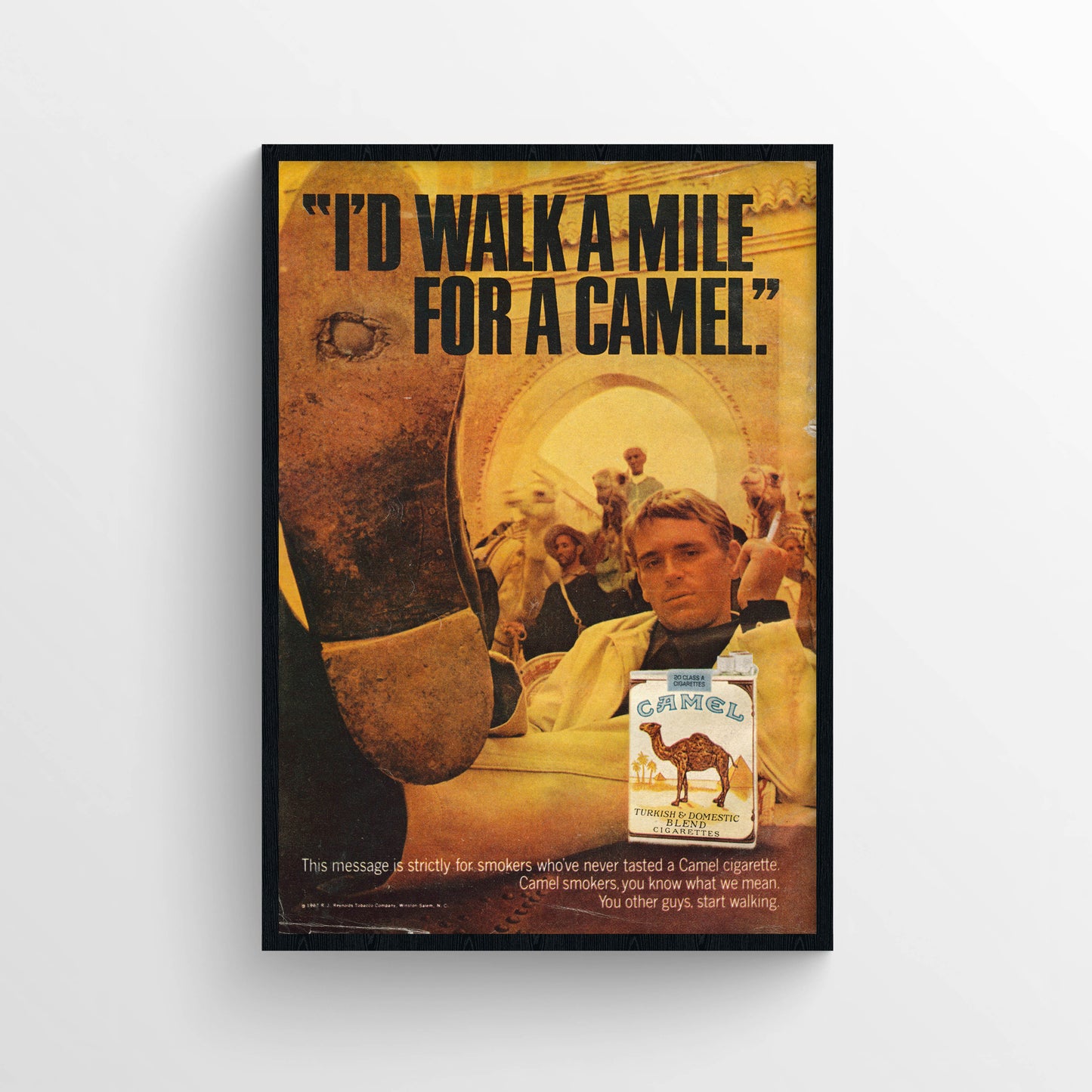 Camel Poster