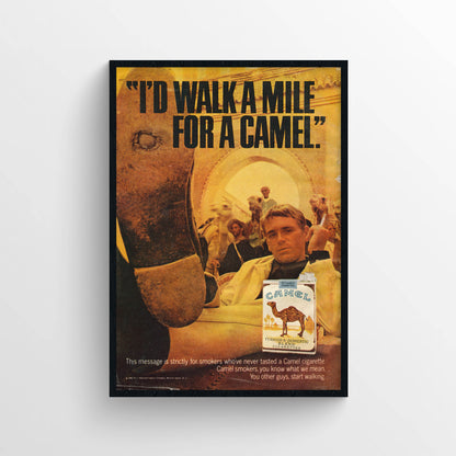 Camel Poster
