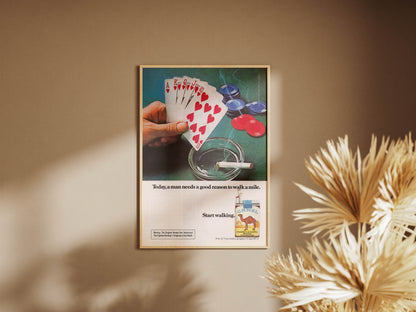 Camel Poster