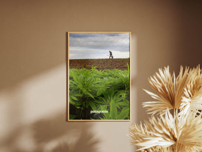 Patagonia 2019 Magazine Poster