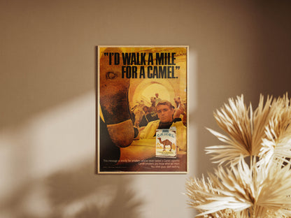 Camel Poster