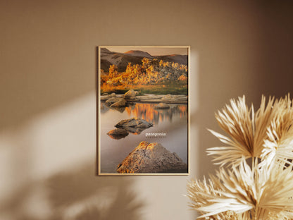 Patagonia 1995 Spring Magazine Poster